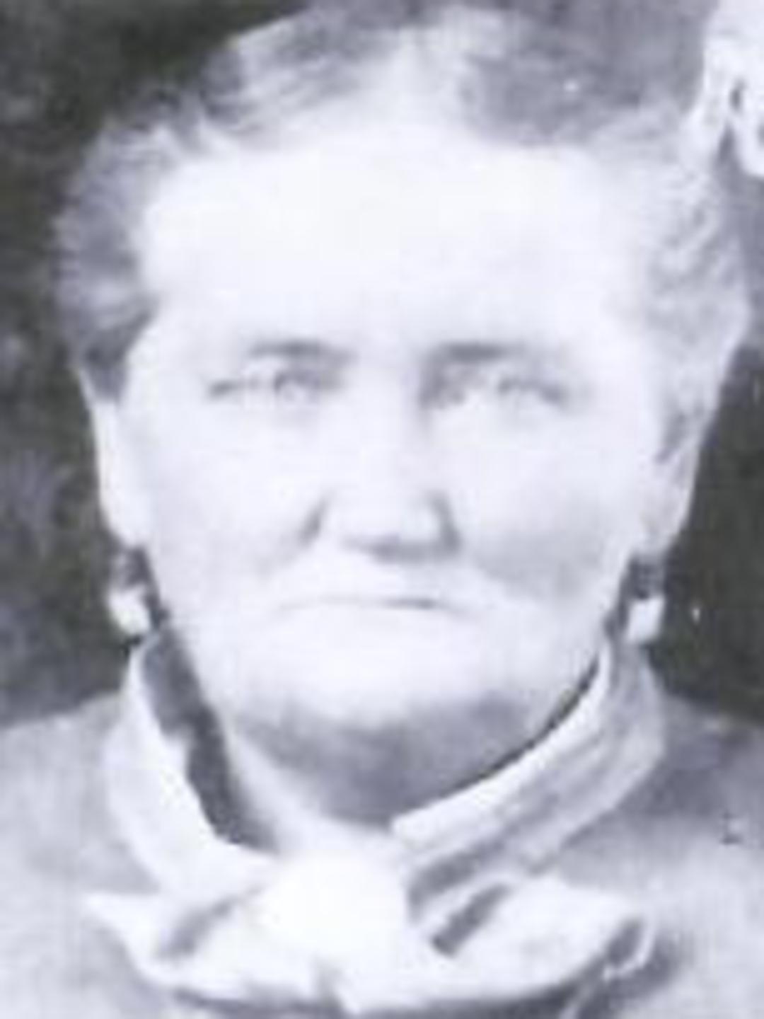 Helen Marion Averett (1830 - 1916) Profile